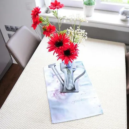 Aaltine 3 Appartement Bad Bentheim Buitenkant foto